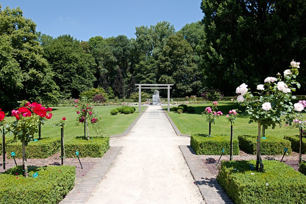 Rozentuin van Coloma